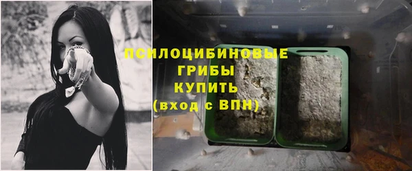кокс Богородск