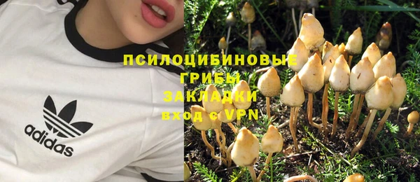 не бодяженный Богданович