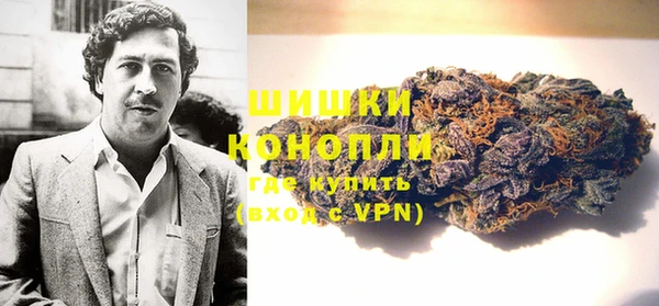тгк Богородицк