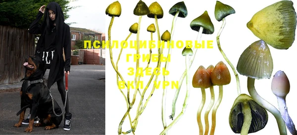 тгк Богородицк